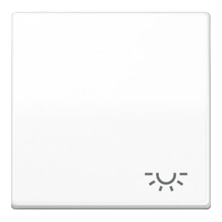 Jung Wippe Symbol LICHT aws für Taster AS 591 L WW