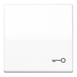 Jung Wippe Symbol TÜR aws für Taster AS 591 T WW