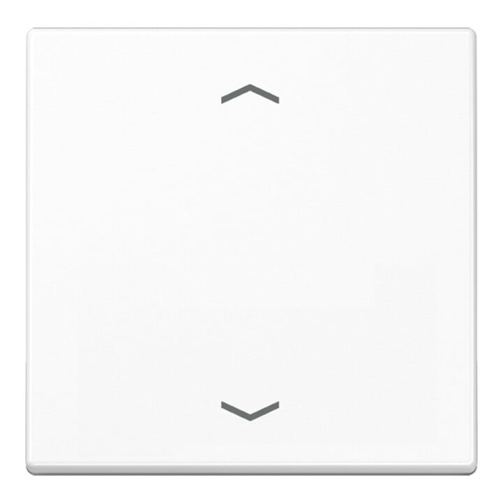 Jung Wippe Symbole aws für Taster A 590 P WW