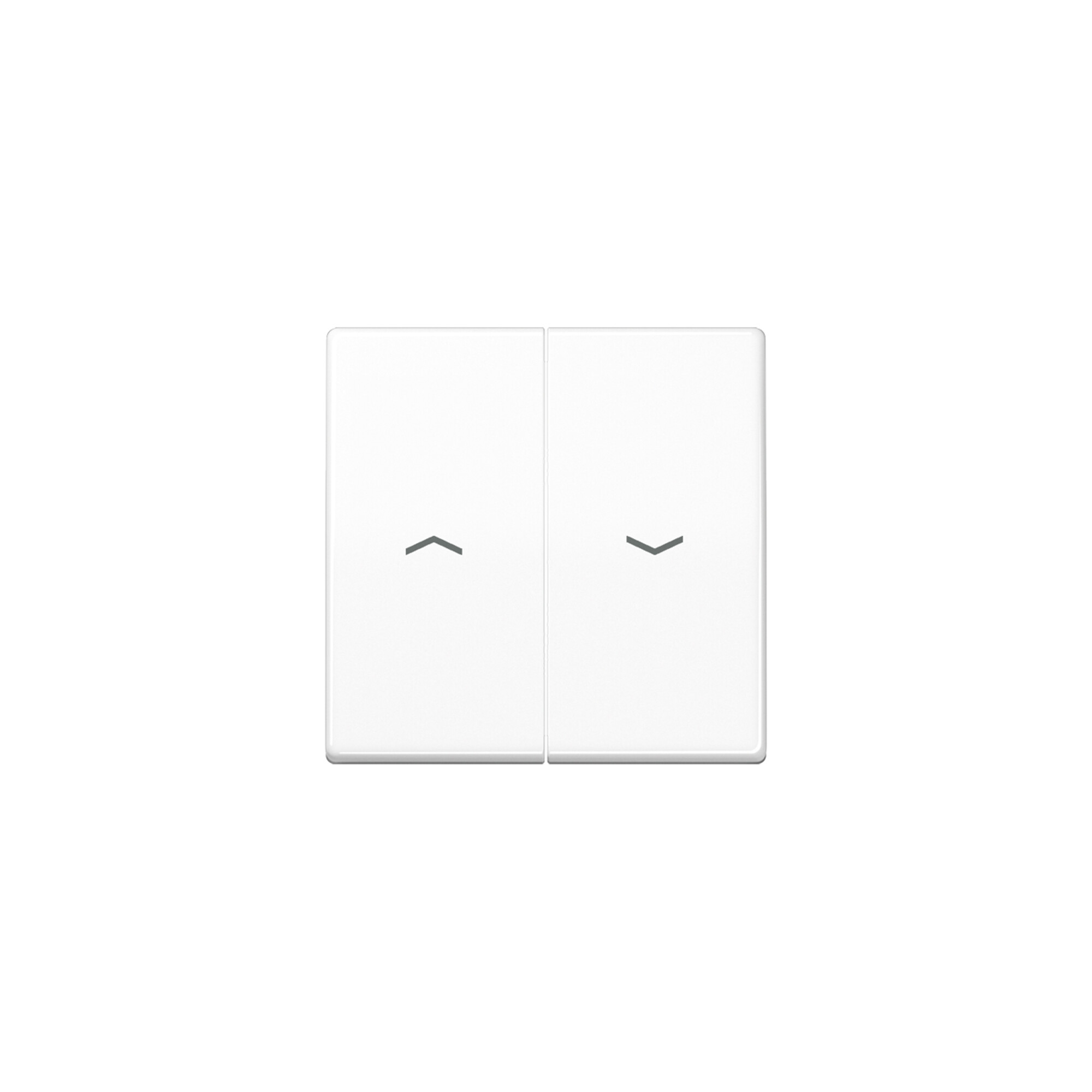 Jung Wippe Symbole aws für Taster AS 591-5 P WW