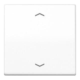 Jung Wippe Symbole aws für Taster AS 591 P WW