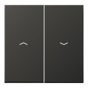 Jung Wippe Symboles anthracite pour bouton-poussoir AL 2995 P AN-1
