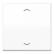 Jung Wippe Symboles aws pour bouton-poussoir AS 591 P WW-1