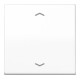 Jung Wippe Symboles aws pour bouton-poussoir AS 591 P WW