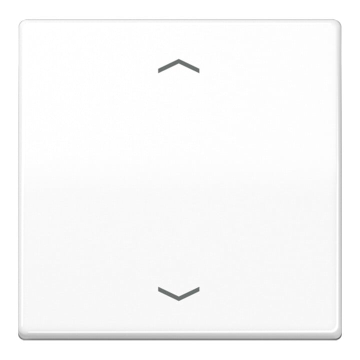 Jung Wippe Symboles aws pour bouton-poussoir AS 591 P WW