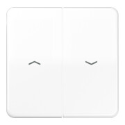 Jung Wippe symboles aws pour bouton-poussoir CD 595 P WW-1