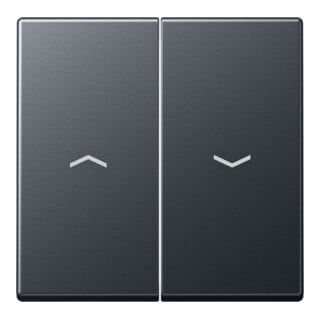 Jung Wippe Symboles Flèches 2x anthracite mat A 595 BF P ANM