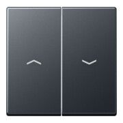 Jung Wippe Symboles Flèches 2x anthracite mat A 595 BF P ANM-1
