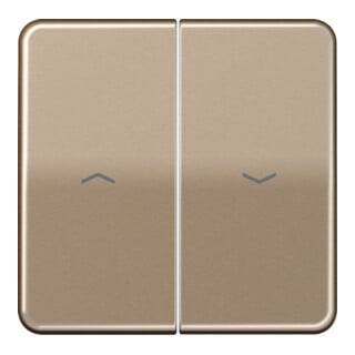 Jung Wippe Symboles or brz pour bouton-poussoir CD 595 P GB
