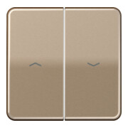 Jung Wippe Symboles or brz pour bouton-poussoir CD 595 P GB-1