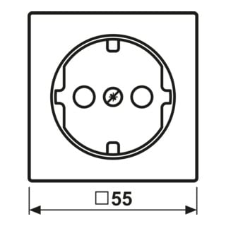 Jung Zentralplatte A 1520 KIPL WW aws für SCHUKO-Steckdose