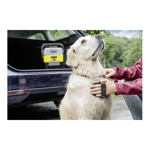 Kärcher pelsborstel