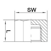 Kappe EN 10226-1 NPS=1 1/2 Zoll 8-kant L 25mm SPRINGER-4
