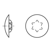 product.name