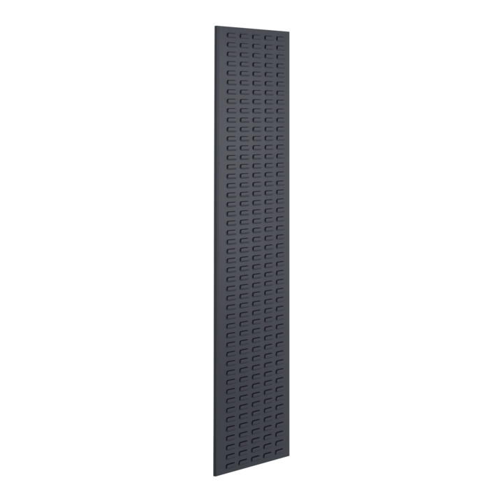 Kappes Schlitzplatte RasterPlan RAL 3020 B450 x H2000 mm Hochformat