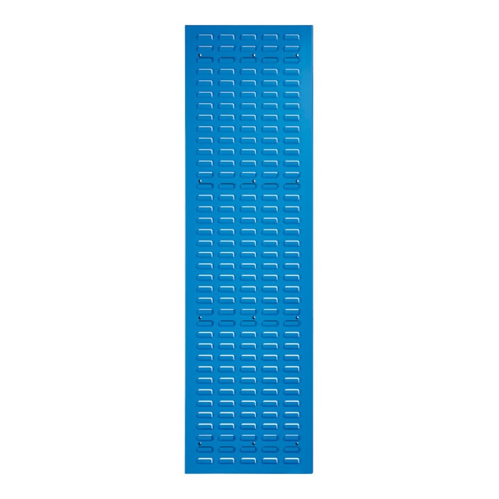 Kappes Schlitzplatte RasterPlan RAL 5012 B450 x H1500 mm Hochformat