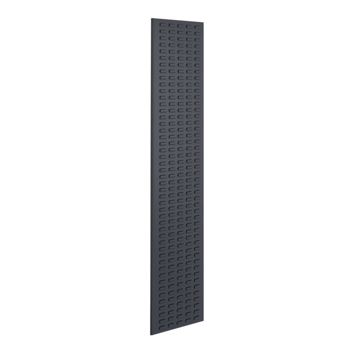 Kappes Schlitzplatte RasterPlan RAL 5012 B450 x H2000 mm Hochformat