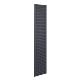 Kappes Schlitzplatte RasterPlan RAL 7016 B450 x H2000 mm Hochformat