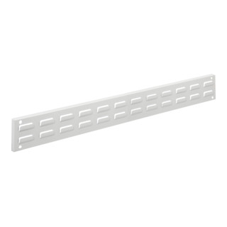Kappes Wandschiene RasterPlan Schlitzplatte L920 x H100 mm RAL7035