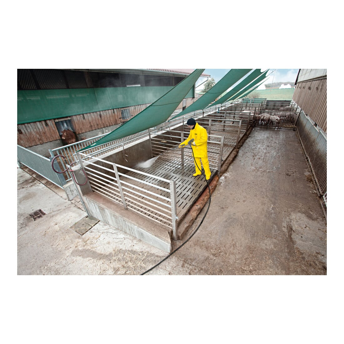 Kärcher Idropulitrice ad acqua fredda HD 16/15-4 Cage Plus 150 Bar