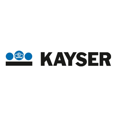 Kayser-Werk Propan Kleinstflasche 425g, G 3/8 LH mit Standfuß