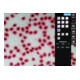 Kern Mikroskopkamera ODC 241, 5 MP, CMOS 1/2,5", Farbe