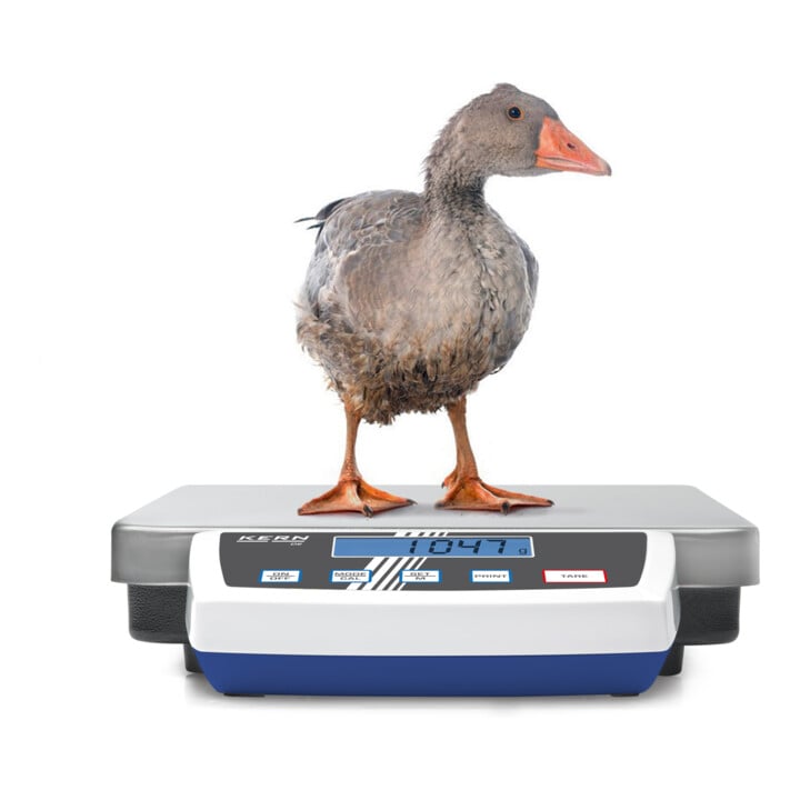 Kern Paketwaage DE 120K10A+C kalibriert, Wägebereich 120 kg, Ablesbarkeit 10 g