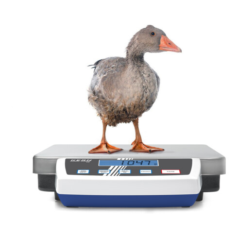 Kern Paketwaage DE 150K2D+C kalibriert, Wägebereich 60 | 150 kg, Ablesbarkeit 2 | 5 g