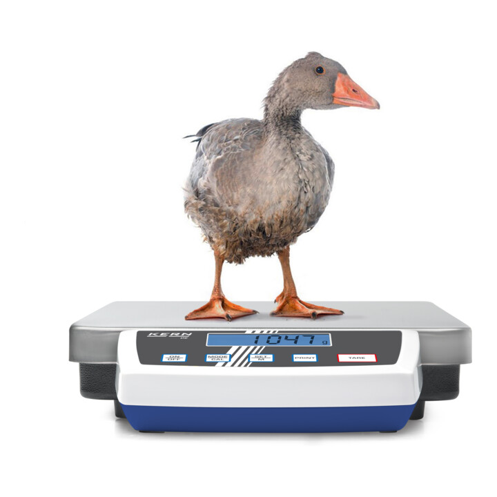 Kern Paketwaage DE 6K0.5A+C kalibriert, Wägebereich 6 kg, Ablesbarkeit 0,5 g