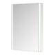 Keuco Armoire miroir 1 porte Somaris 60x71x11,5cm, BL, V, Conn. gauche, satiné-4