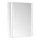 Keuco Armoire miroir 1 porte Somaris 65x73x13cm, applique, raccord gauche, chromé-5