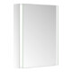 Keuco Armoire miroir 1 porte Somaris 65x73x13cm, applique, raccords, chromé-2