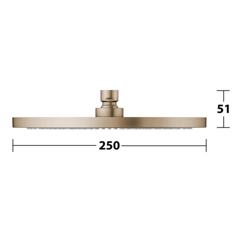 Keuco Douchette tête 250 mm, ronde, plastique, bronze brossé