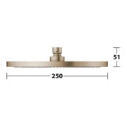 Keuco Douchette tête 250 mm, ronde, plastique, bronze brossé-5