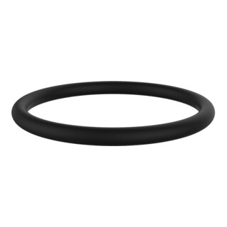 Keuco O-Ring de rechange ARM 50114 22x2