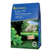 Kiepenkerl Gazon professionnel Royal 4 kg, tolérant à l’ombre