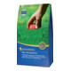 Kiepenkerl Spiel- und Sportrasen 2 kg-1