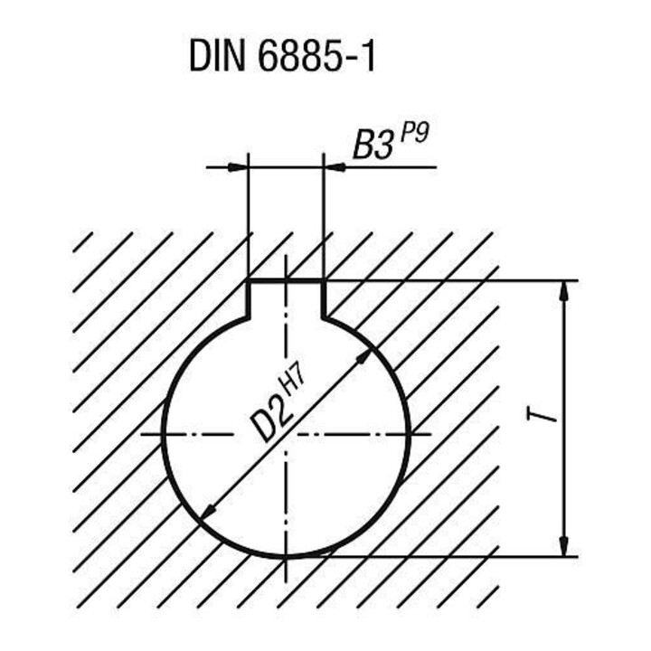 KIPP 2-spaaks handwiel D1=99 passing D2=10H7 polyamide zonder handgreep