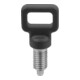 KIPP Arretierbolzen mit Ösengriff M10 x 5mm Form C Rastnut Kontermutter