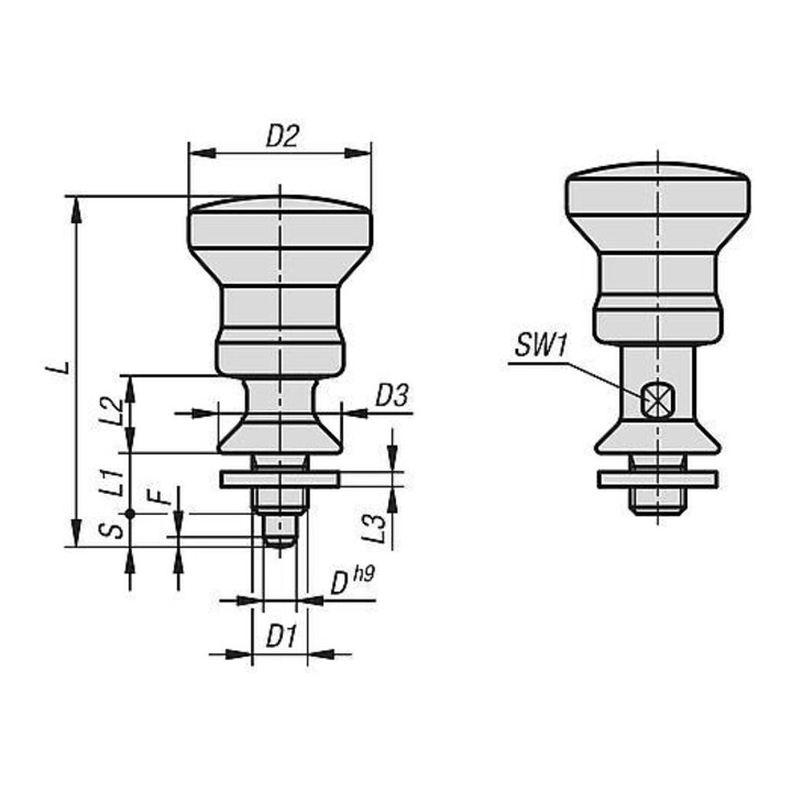 KIPP Arretierpen M10x1 Ø 6mm Vorm C RVS Hygienic Design