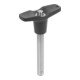KIPP Kogelsluiting met T-greep 12 mm 50 mm roestvrijstaal komp.T.