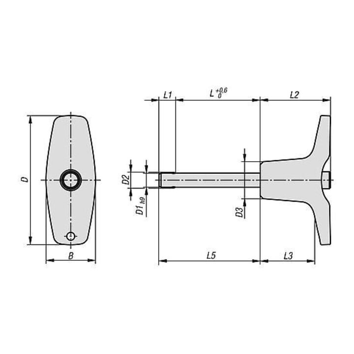 KIPP Kugelsperrbolzen mit T-Griff 16mm 30mm Edelstahl