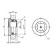 KIPP Oliezichtglas in te persen D1=40 D=44 Thermoplast