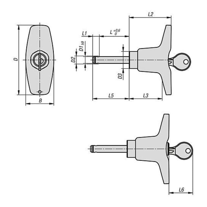 KIPP RVS 1.4305 afsluitbare kogelsperpen T-greep Ø8 L40