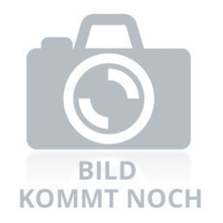 KIPP Spannexzenter mit Spannhebel Form B M08 Vergütungsstahl