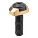 KIPP Vis de serrage forme B aplatie acier laiton