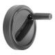 KIPP Volant D1=80 Passage D2=8H7 Thermoplast Acier brunissé Gr. 1