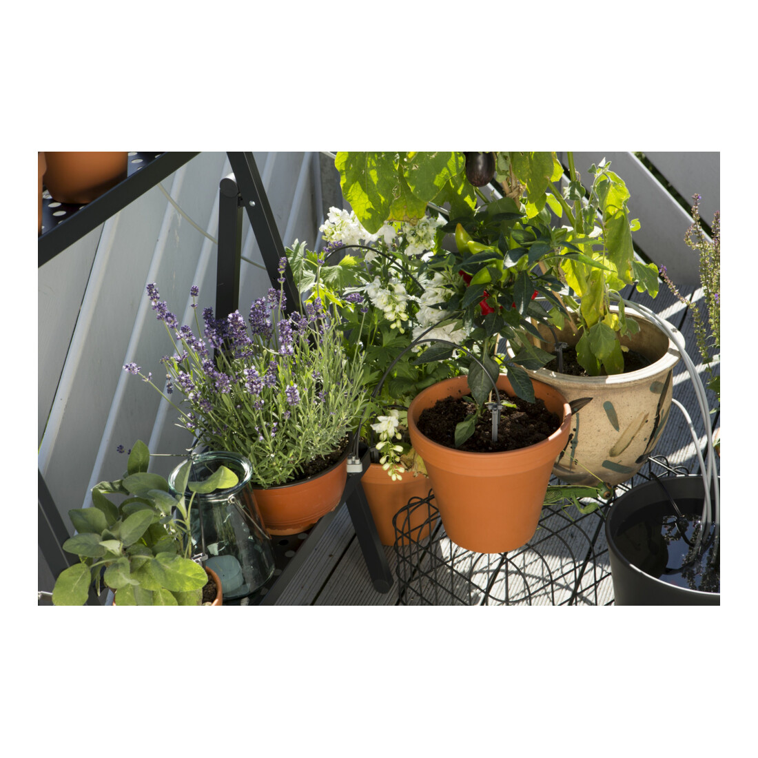 Kit d'arrosage de vacances GARDENA