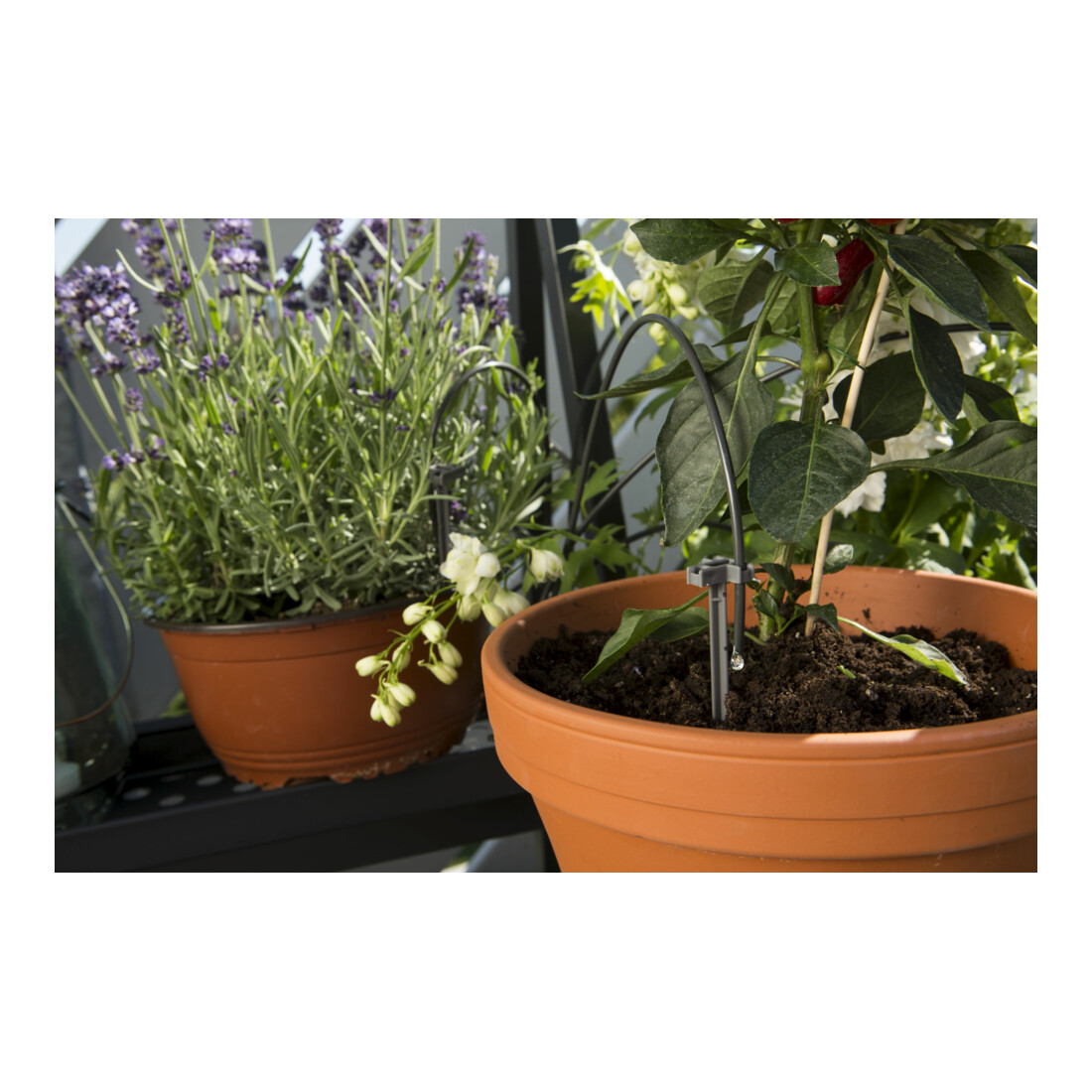 Kit d'arrosage de vacances GARDENA