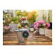 Kit d'arrosage solaire AquaBloom GARDENA